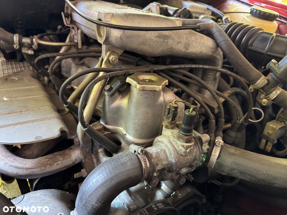 Polonez Caro - 4