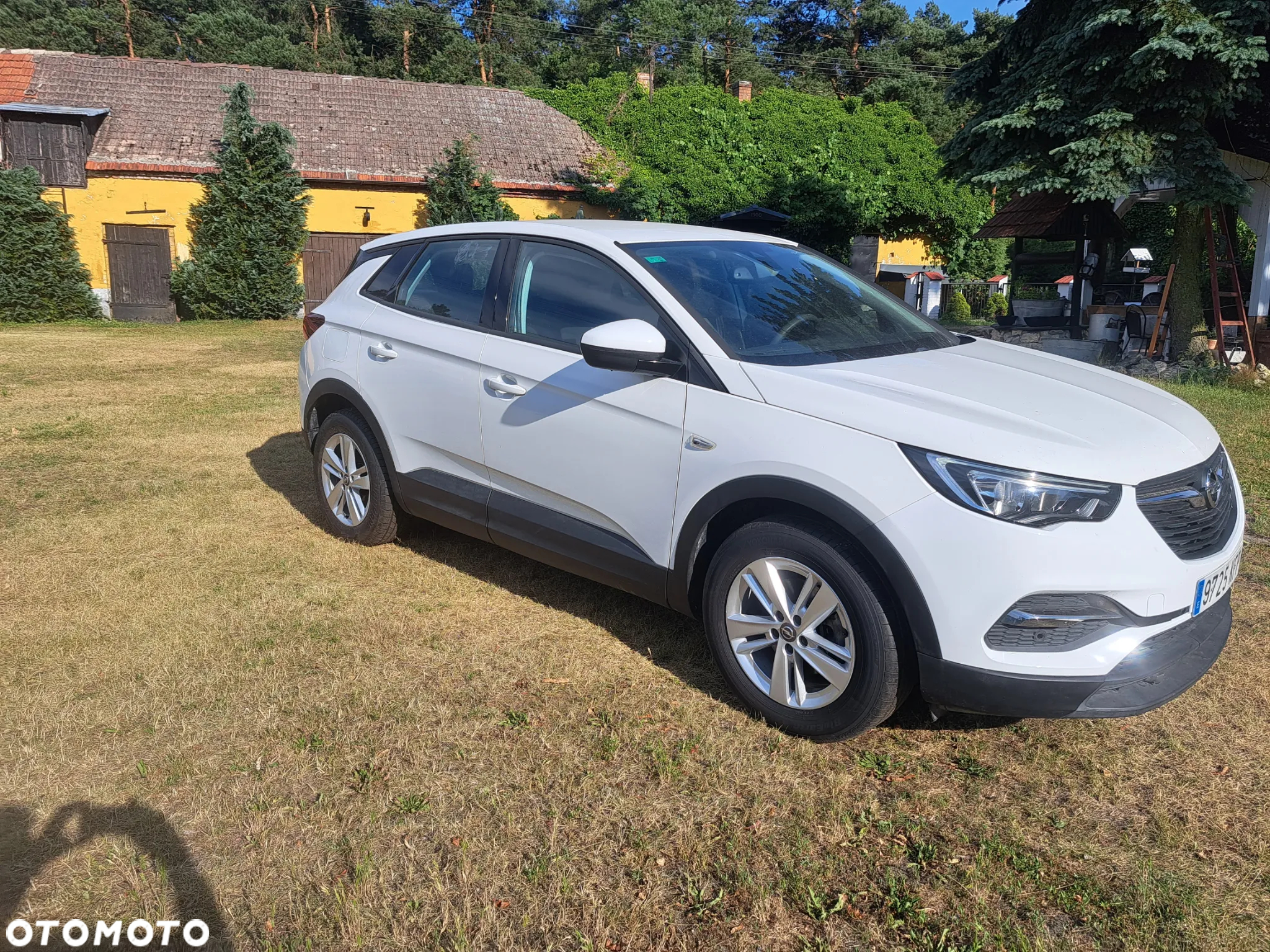 Opel Grandland X 1.6 CDTI Innovation S&S - 4