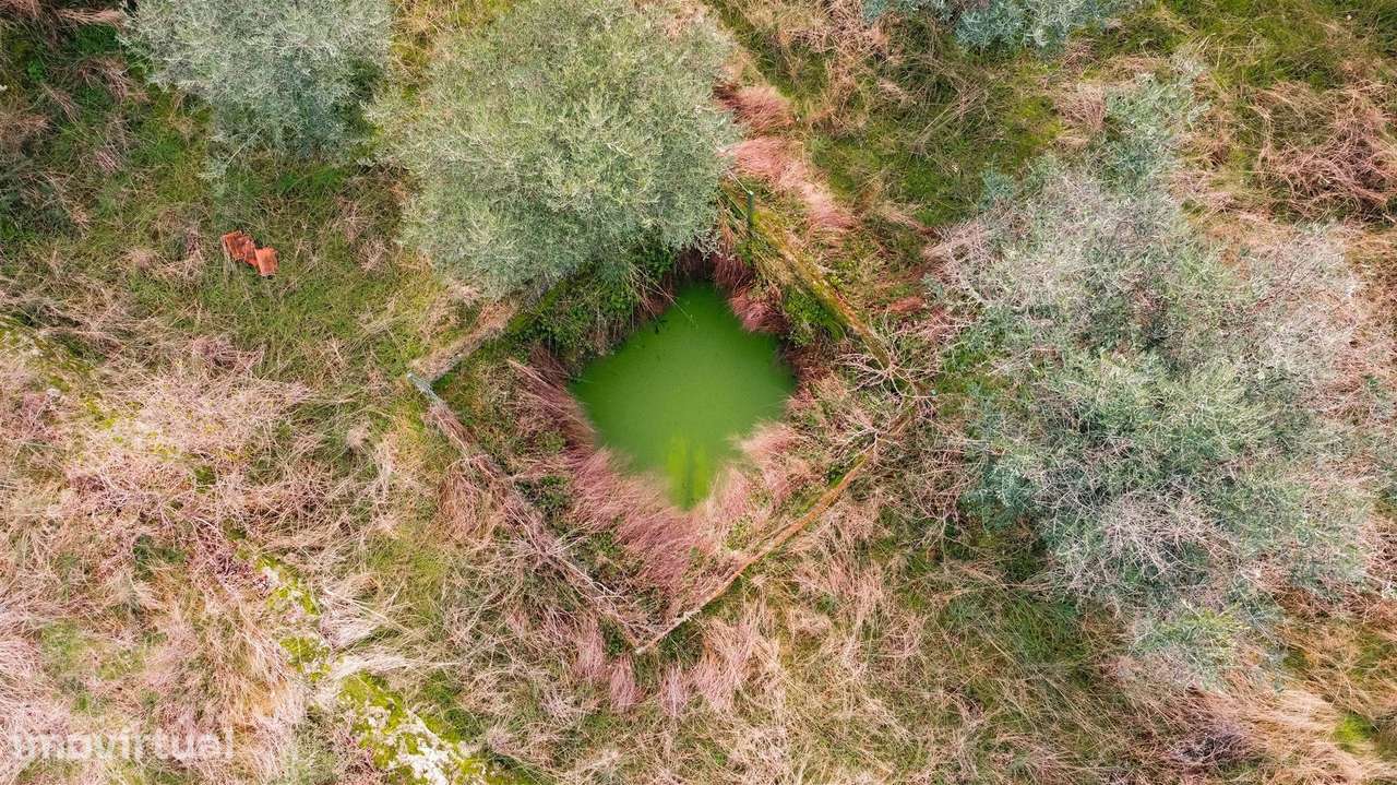 Terreno Rústico  Venda em Freixial e Juncal do Campo,Castelo Branco - Grande imagem: 4/33
