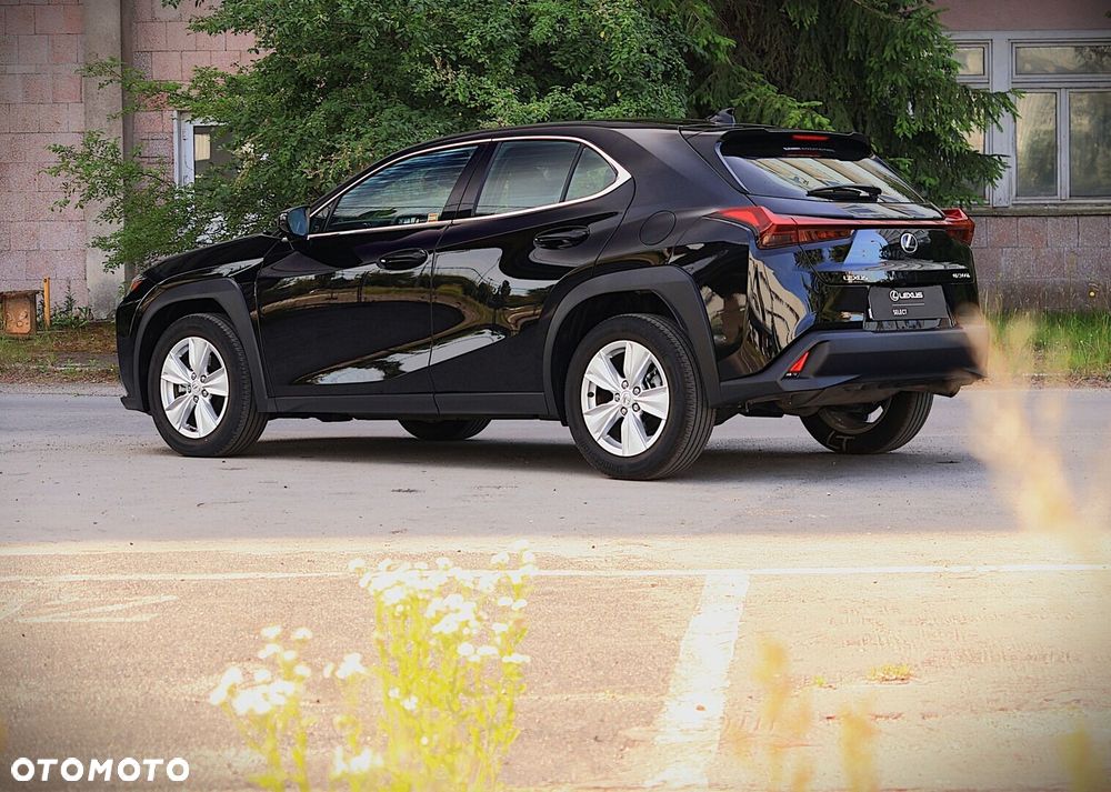 Lexus UX 300h Elegance - 12