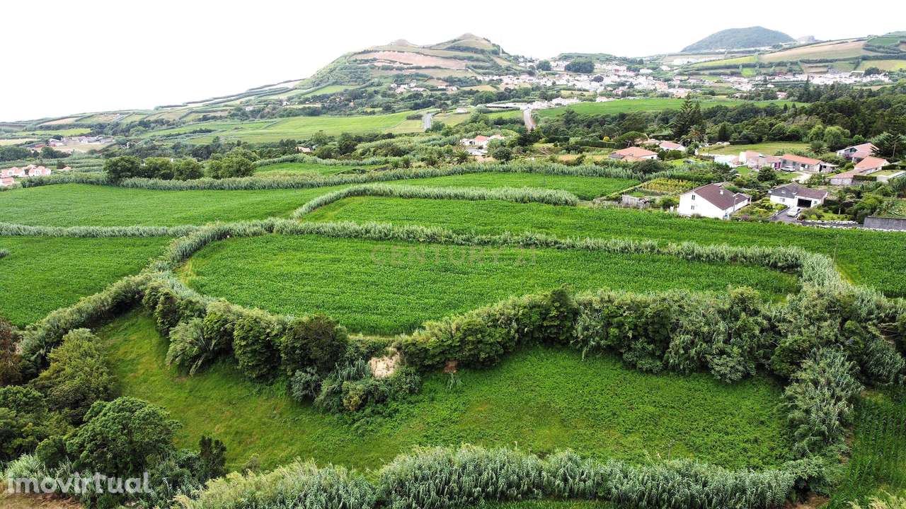 Terreno com Viabilidade de Construção, nos Ginetes - Grande imagem: 4/5