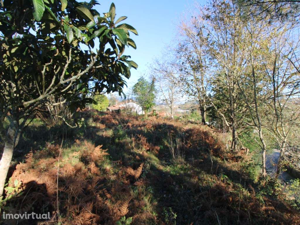 Terreno - Grande imagem: 3/13