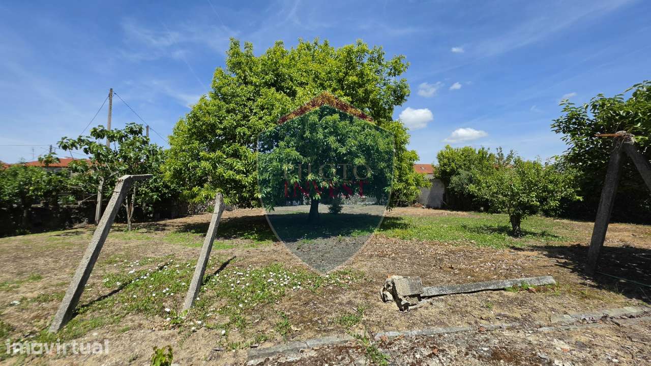 Moradia Isolada T3 Venda em Rio de Loba,Viseu - Grande imagem: 4/20
