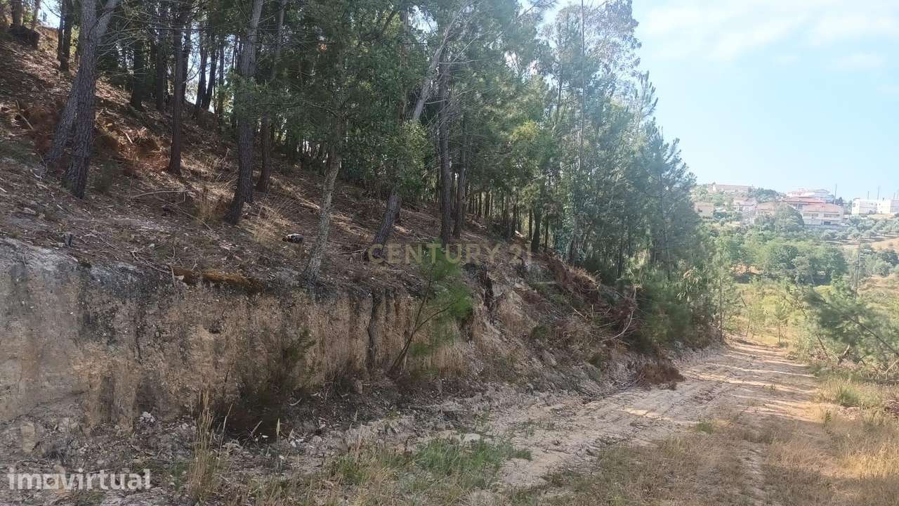 Terreno Urbano para construção no  Arrabal , 1.850m2 - Grande imagem: 4/5