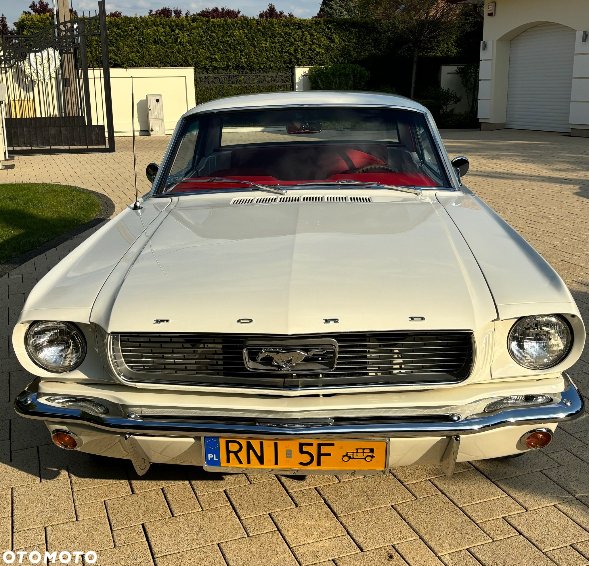 Ford Mustang - 2