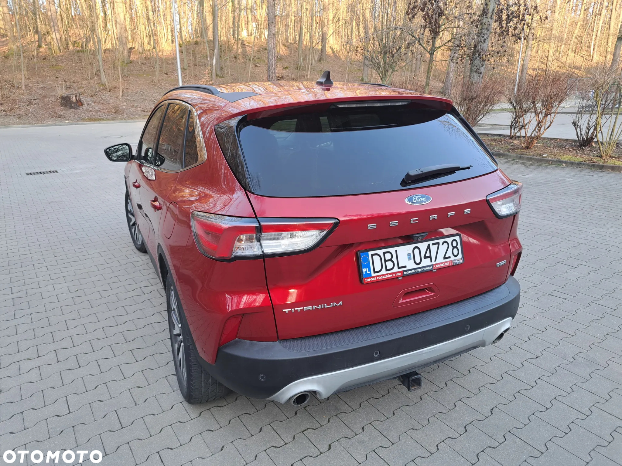 Ford Escape - 10