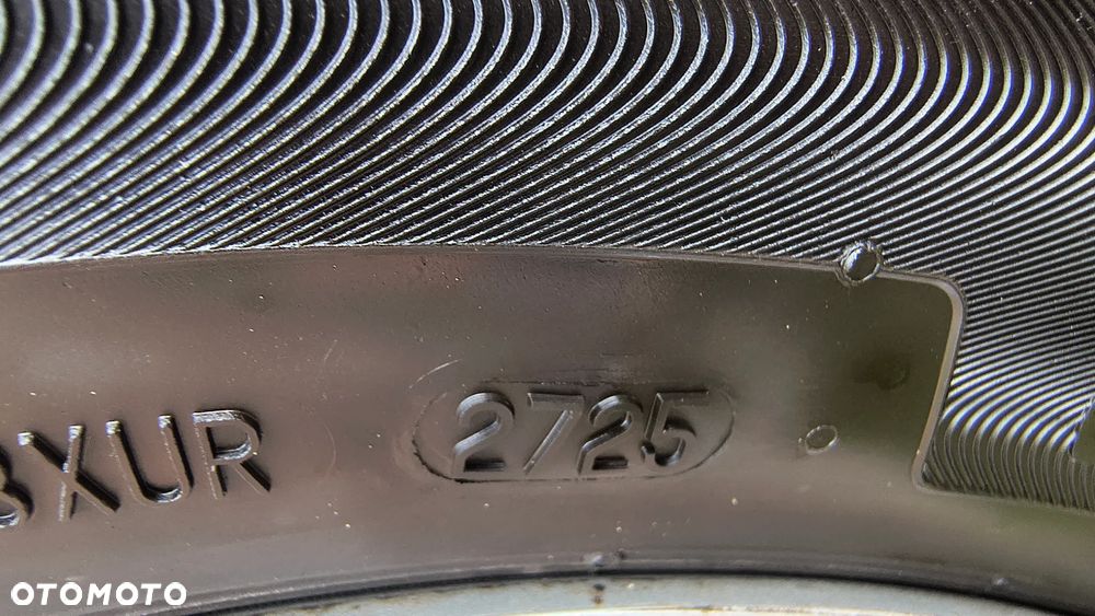 Volkswagen Beetle - 24