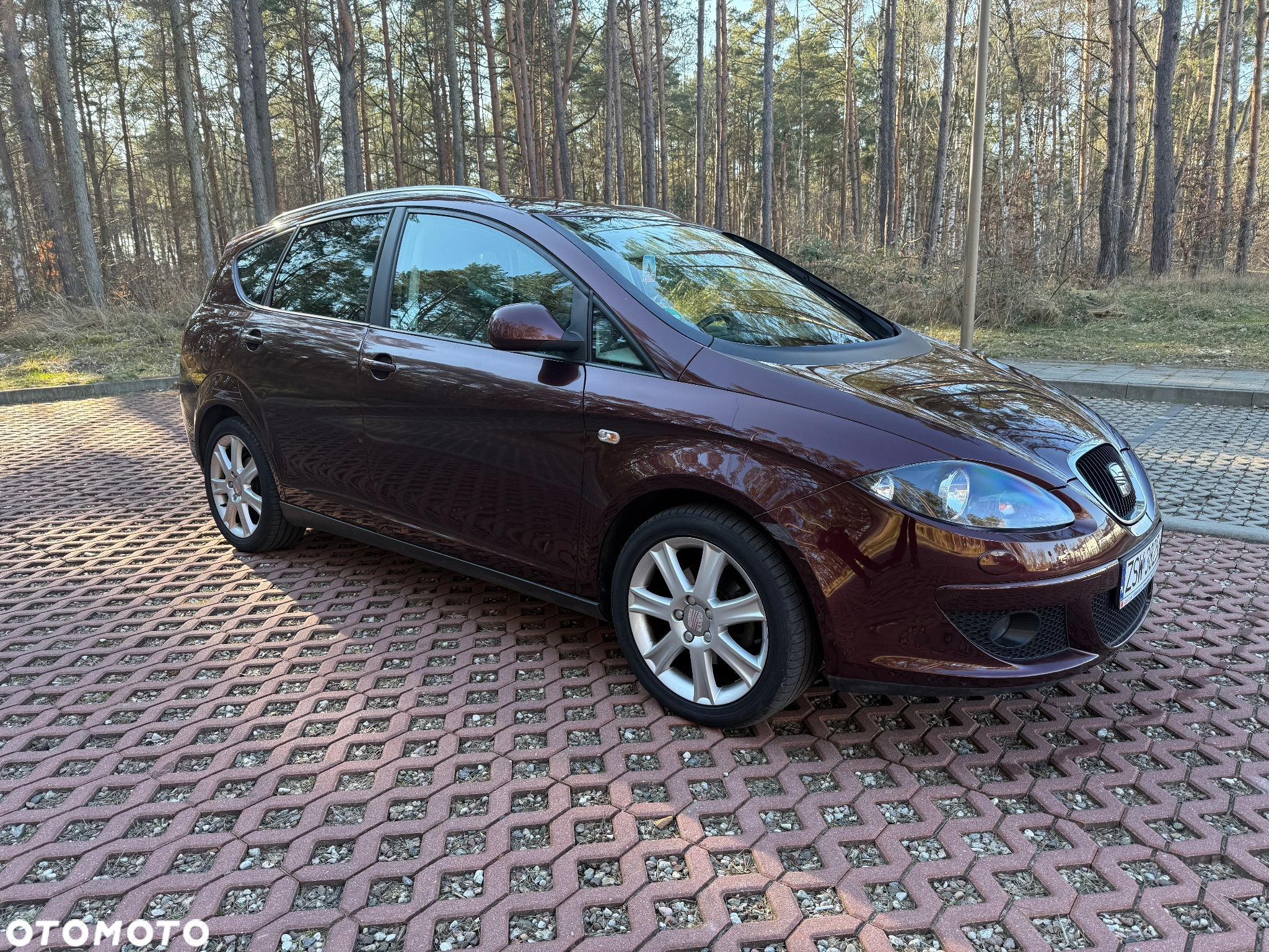 Seat Altea XL 1.4 TSI Reference Comfort - 7
