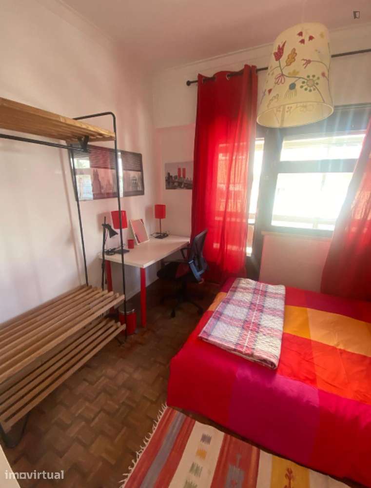 Roomy apt near Cidade Univesitária / Spacious apt near University - Grande imagem: 3/20
