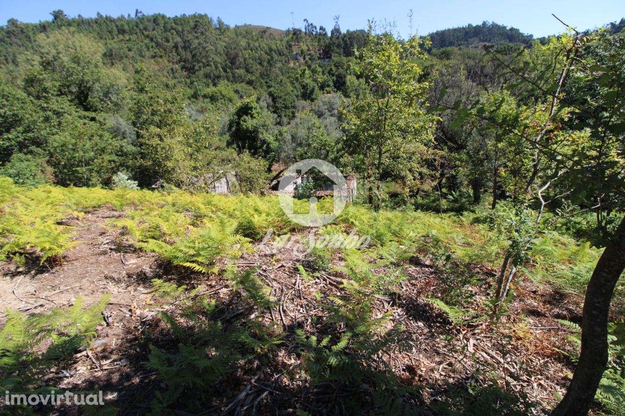 Quintinha com 32.270 m2 em Amares, Braga - Grande imagem: 3/21