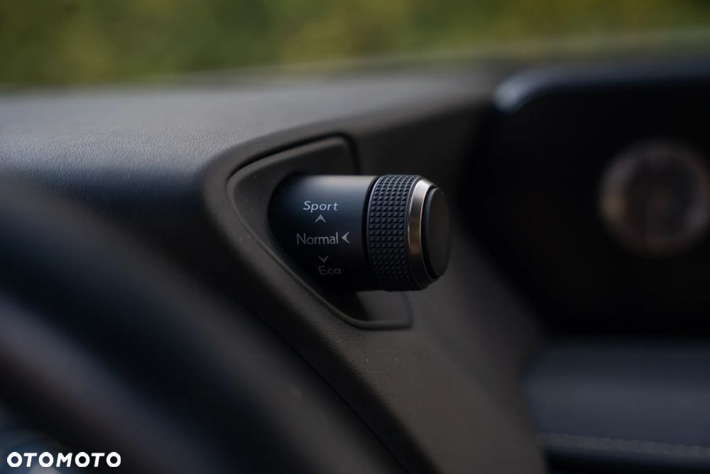 Lexus UX 250h Business Edition - 21