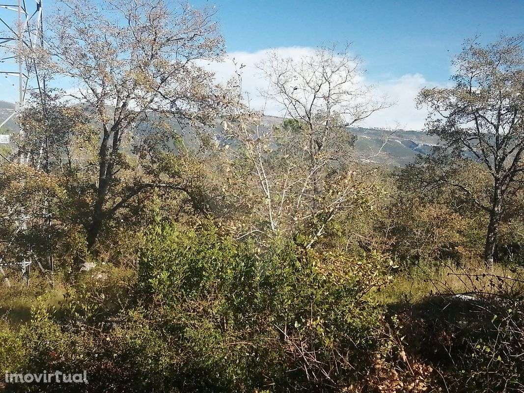 Terreno  para venda - Grande imagem: 2/7