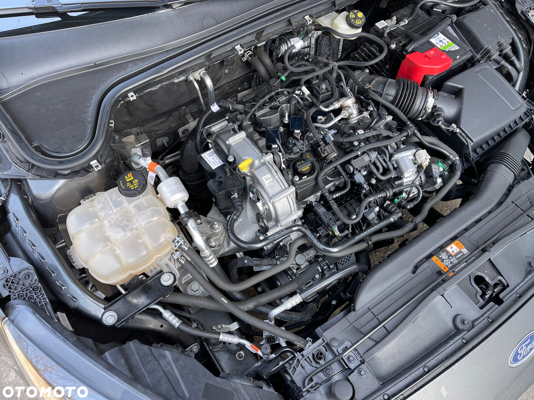 Ford Focus 1.0 EcoBoost mHEV Connected - 15