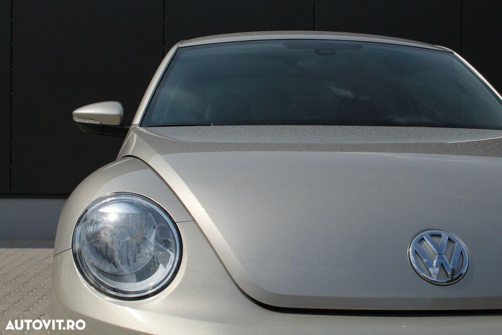 Volkswagen Beetle - 18