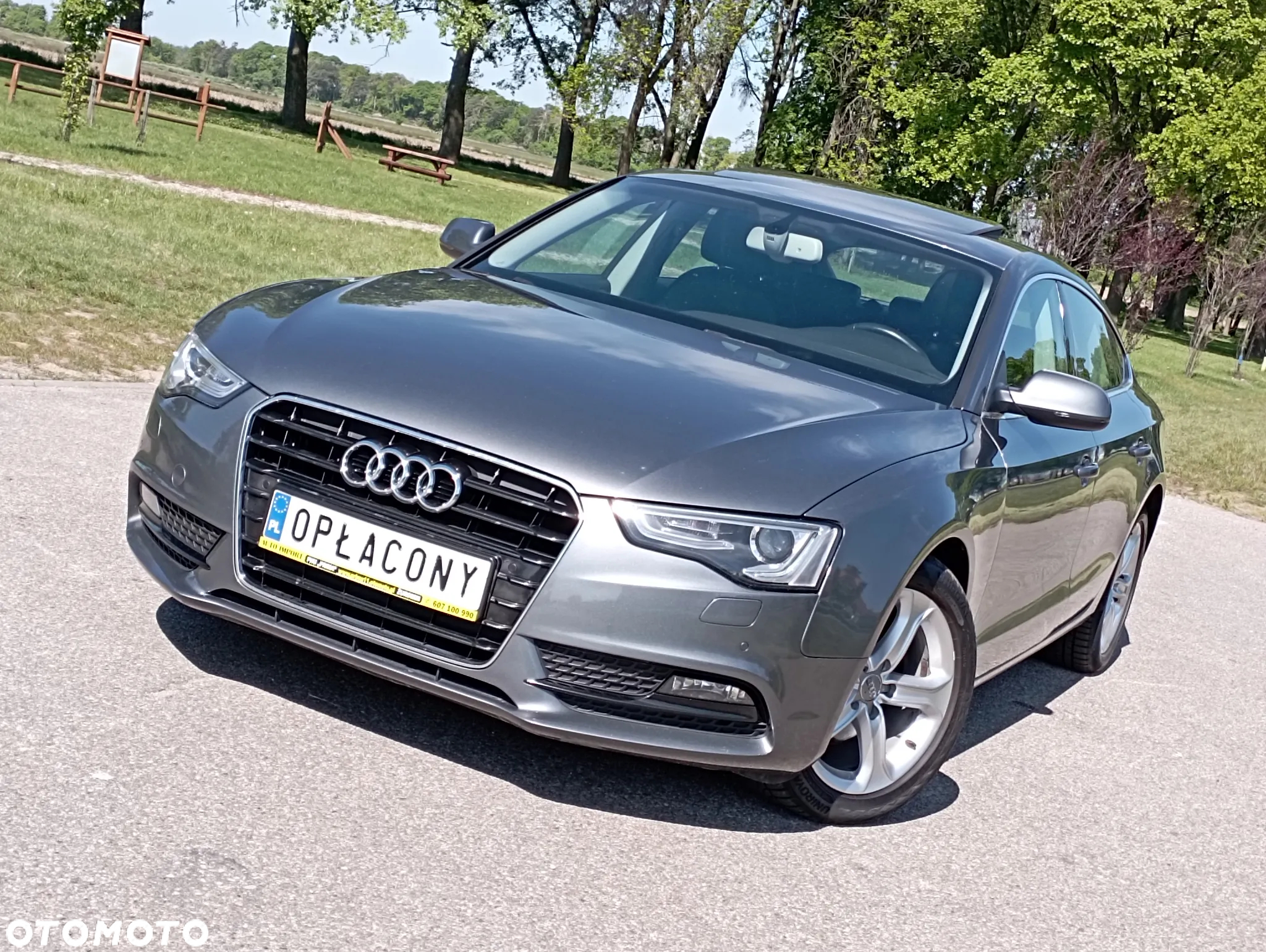 Audi A5 2.0 TDI ultra Sportback DPF - 19