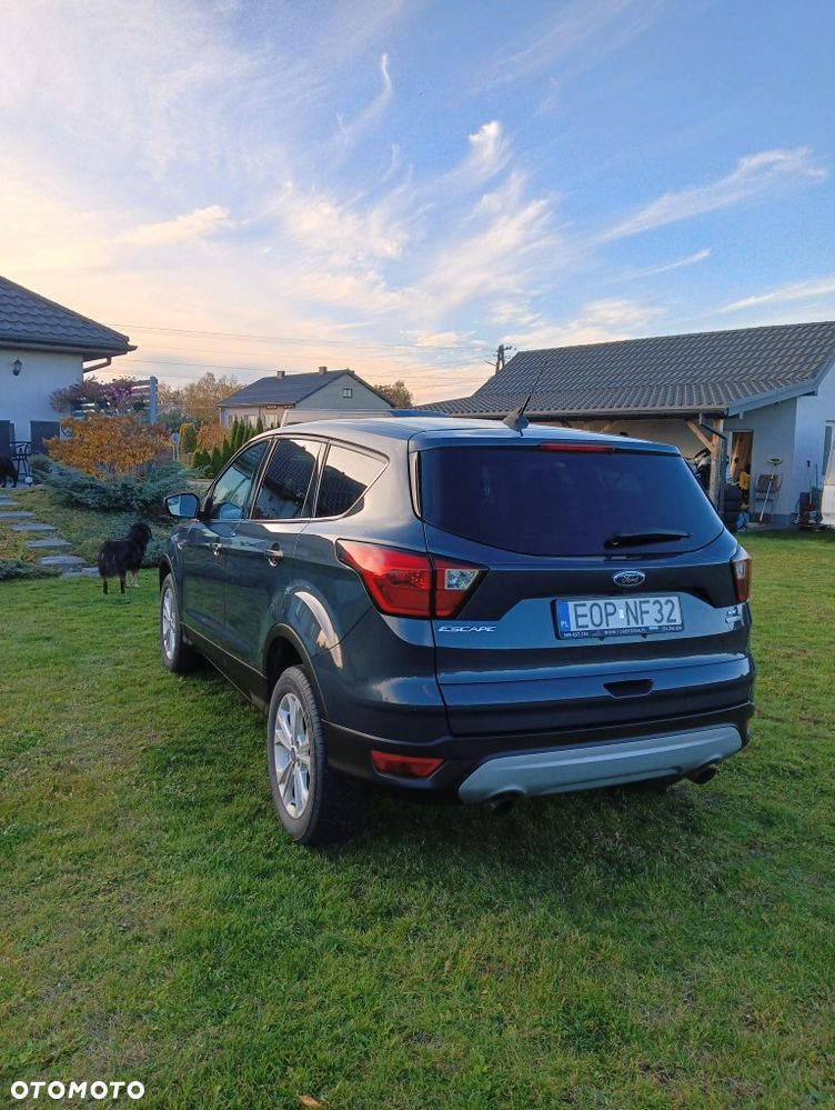 Ford Escape - 3