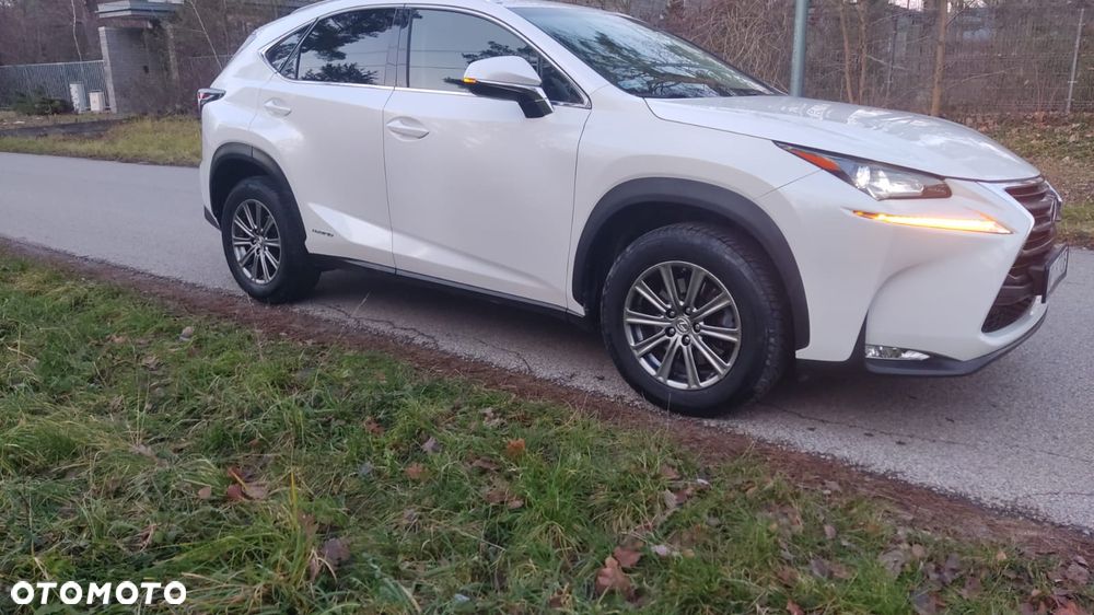 Lexus NX 300h Comfort AWD - 3