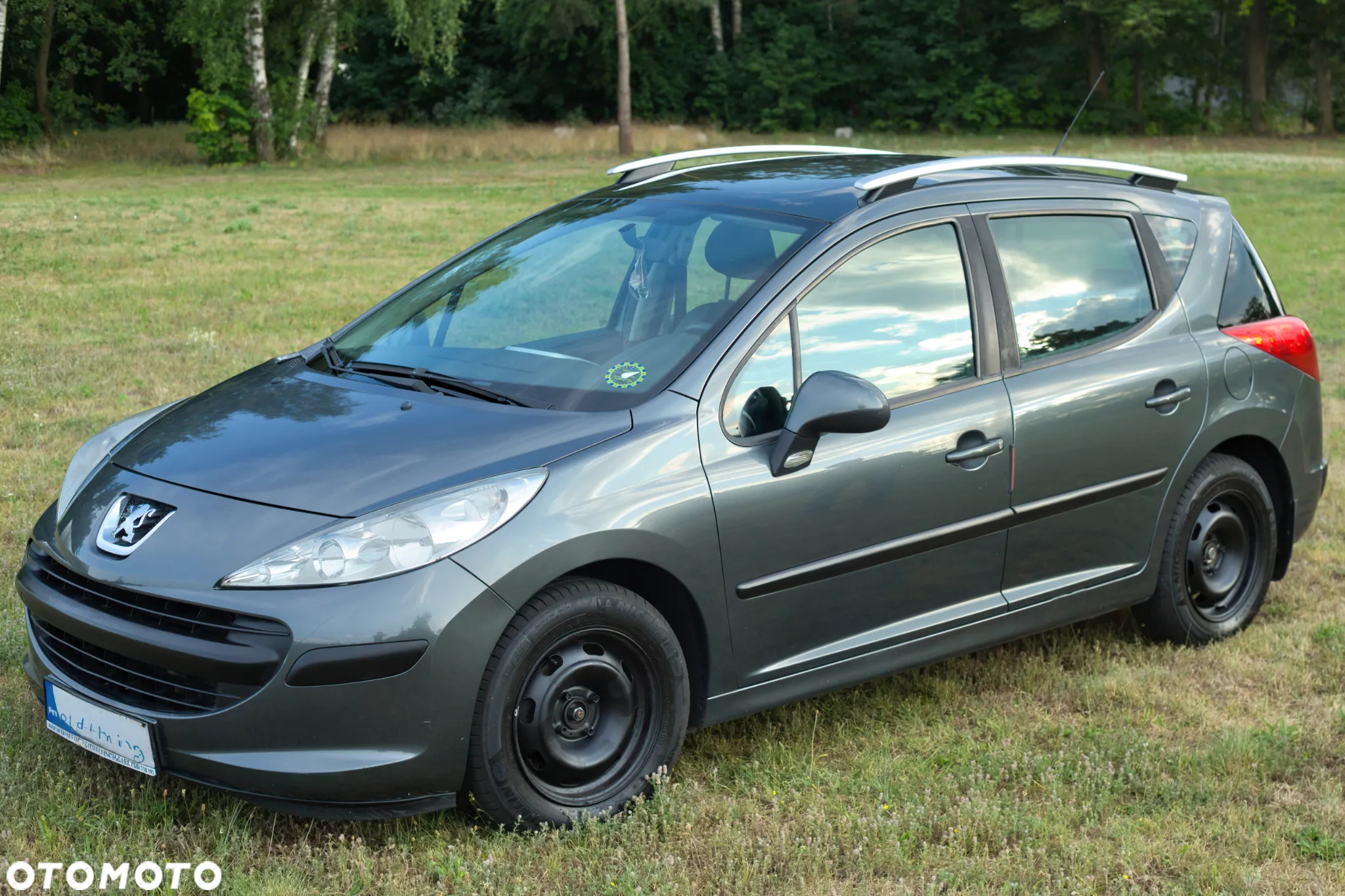 Peugeot 207 - 8