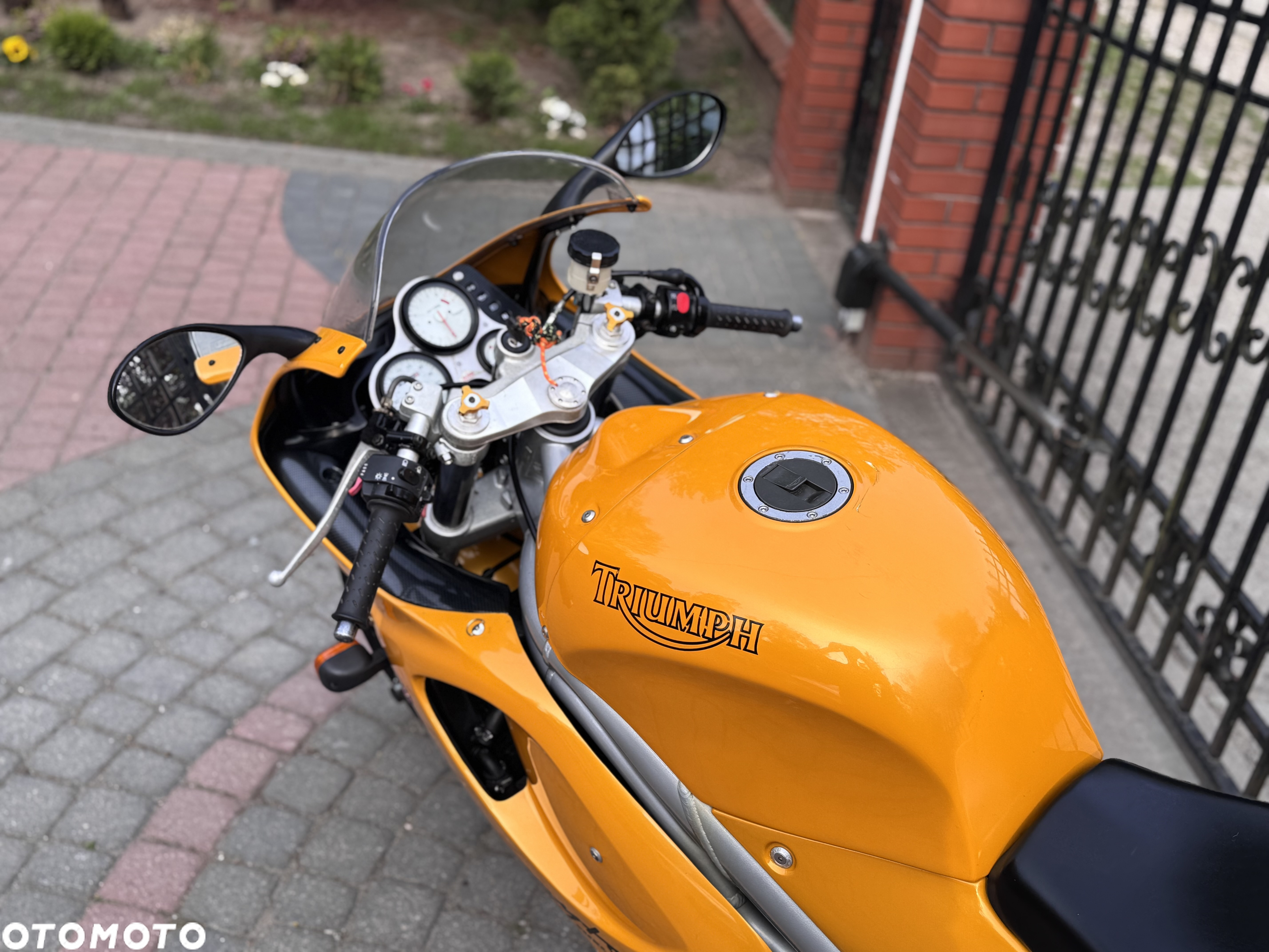 Triumph Daytona - 16