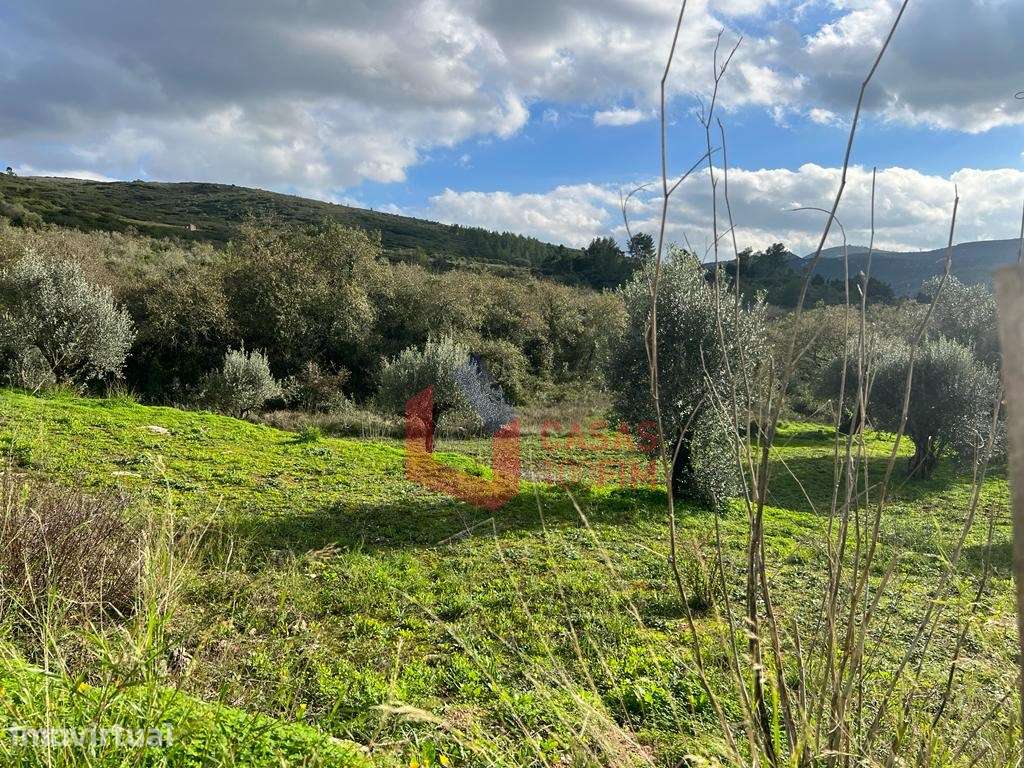 Terreno para construção em Porto de Mós perto da serra, local muito... - Grande imagem: 3/5