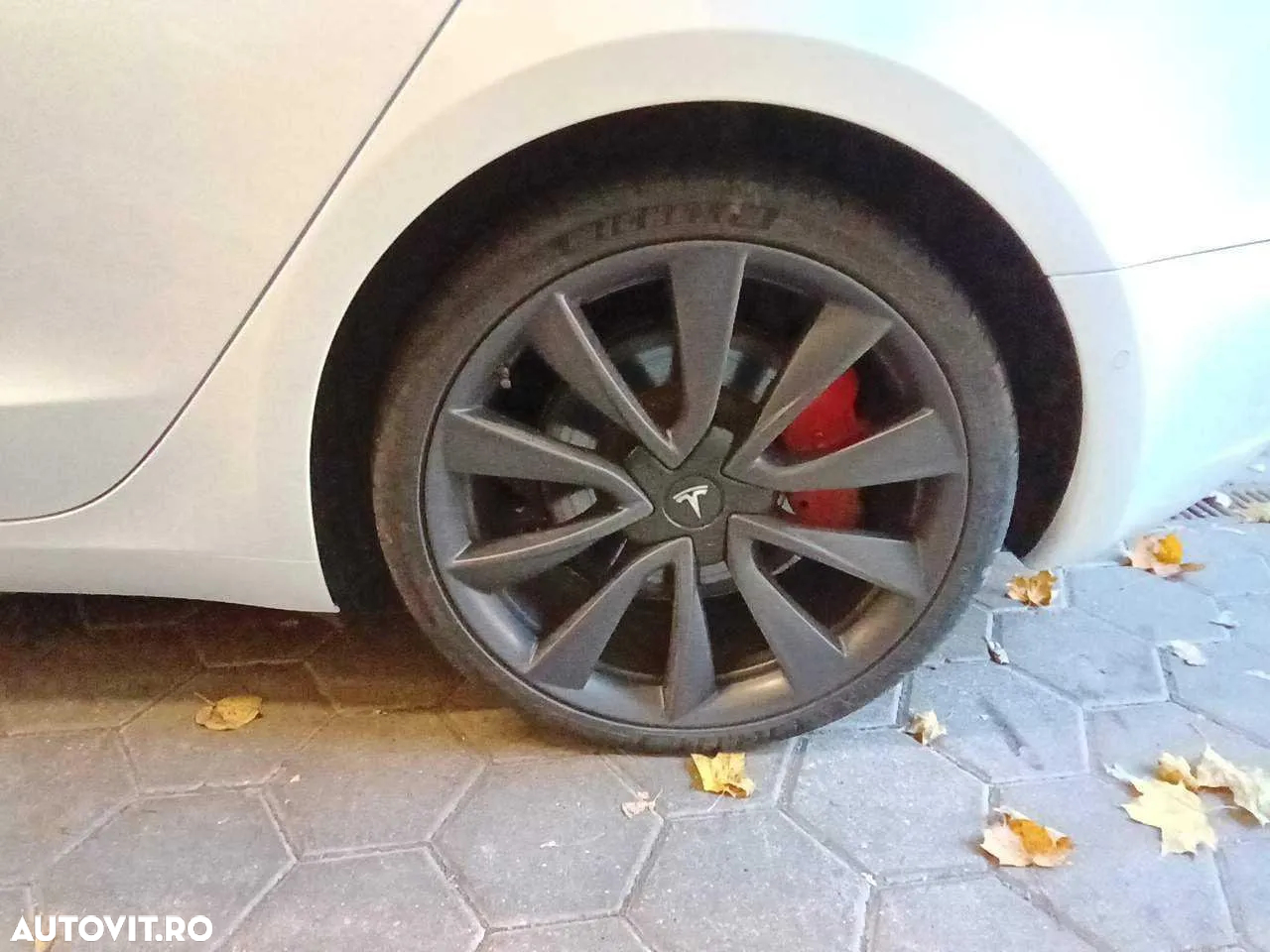 Tesla Model 3 - 19