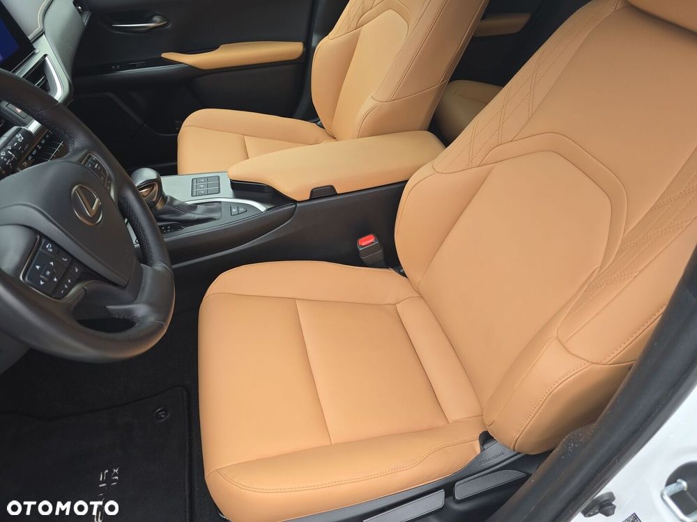 Lexus UX 250h GPF F Sport Design 2WD - 12