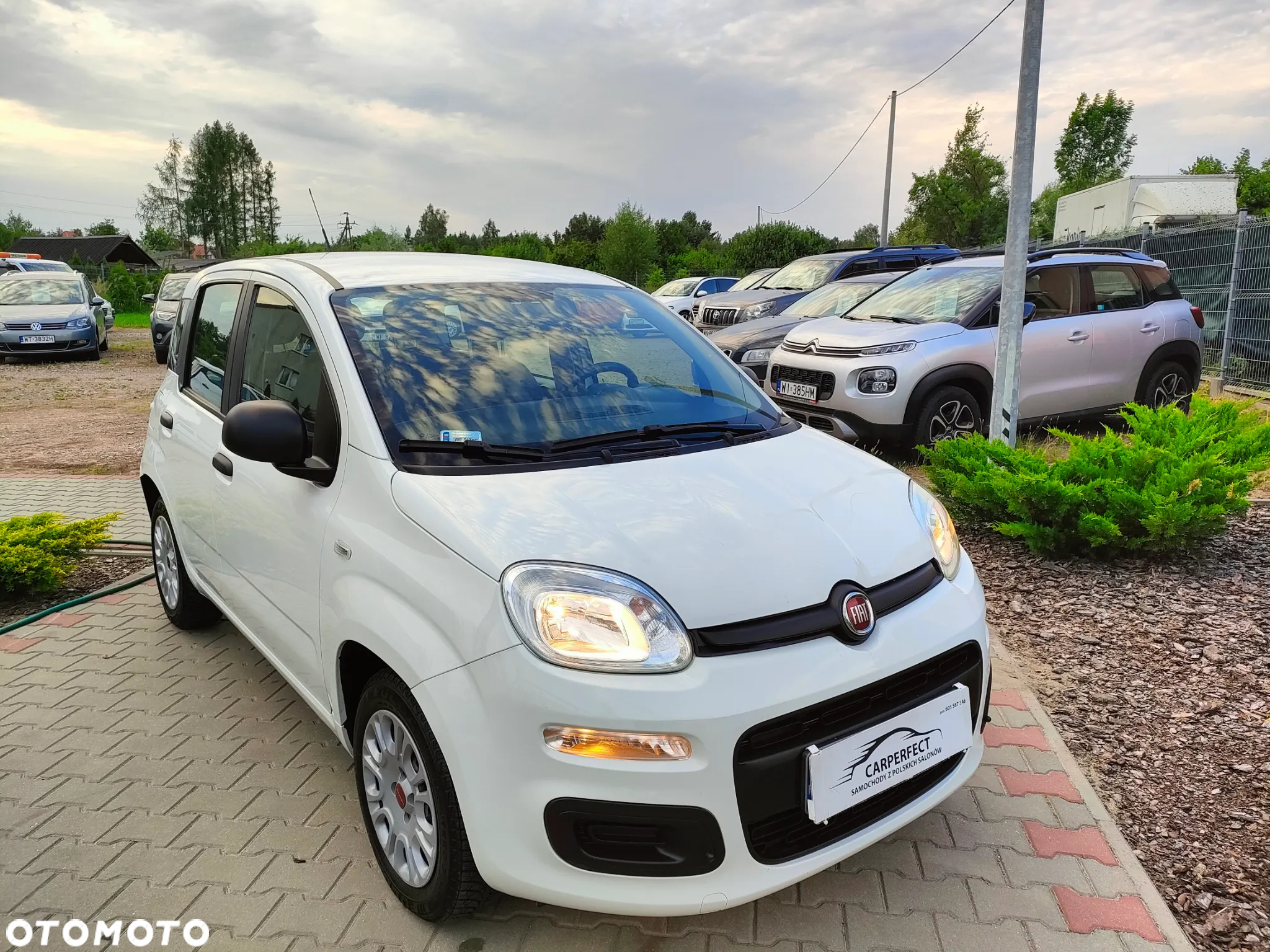 Fiat Panda 1.2 Easy - 8