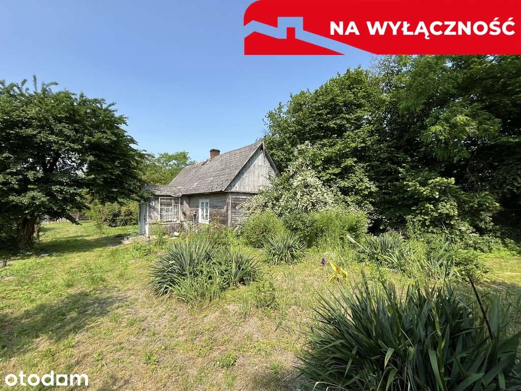 Siedlisko w Kaliszanach Kolonii gm. Józefów - Pełny obrazek: 2/20