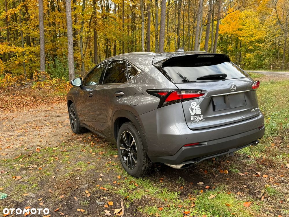Lexus NX - 26
