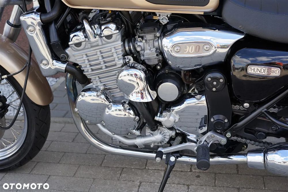 Triumph Thunderbird - 29