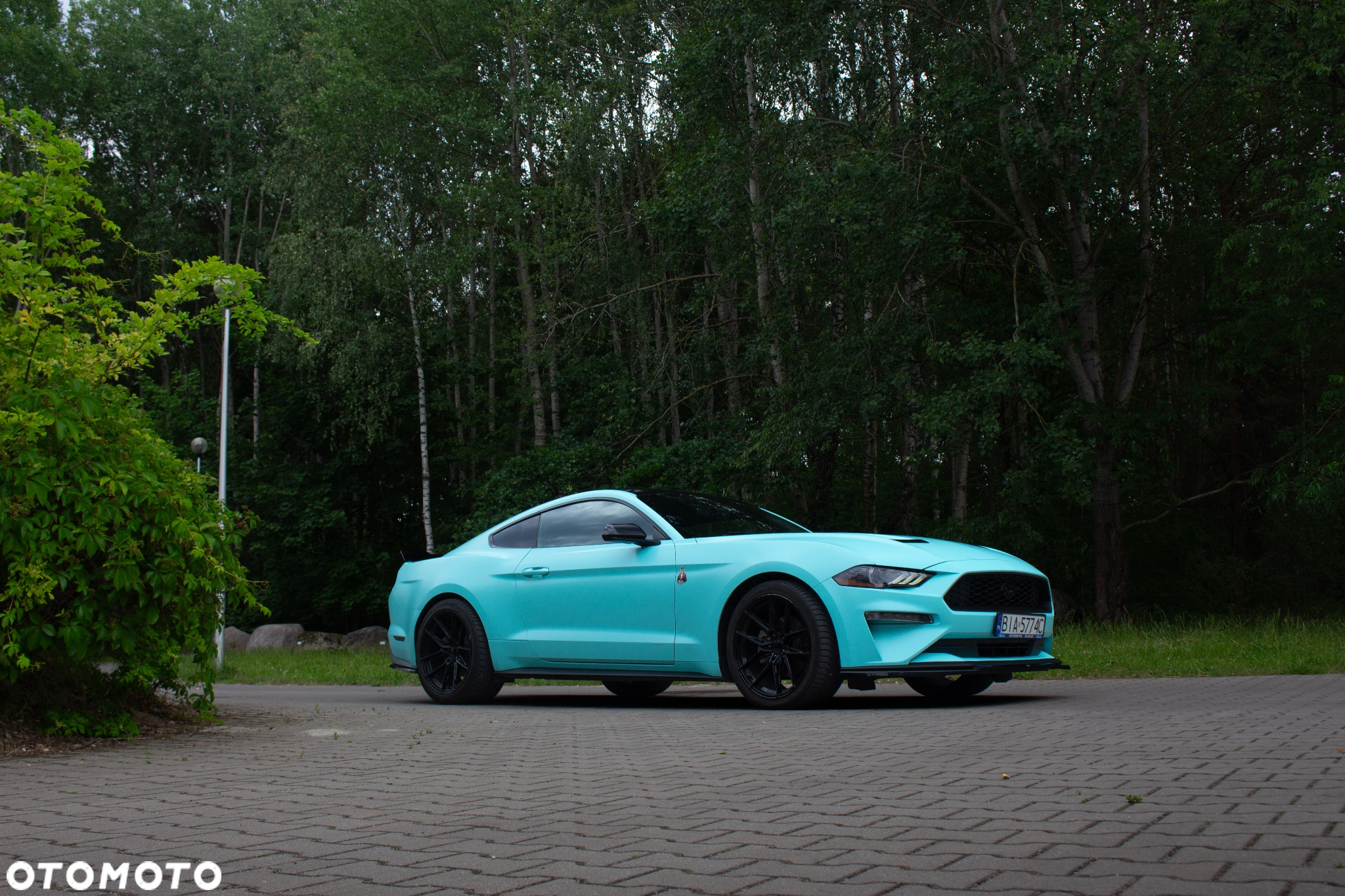 Ford Mustang 2.3 Eco Boost - 15