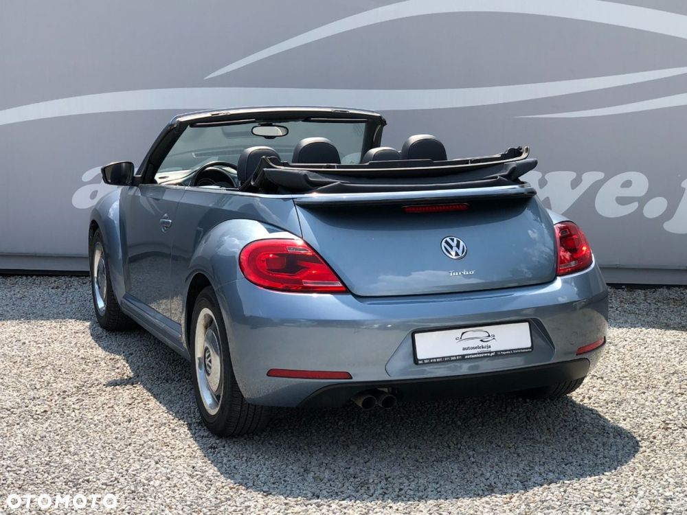 Volkswagen Beetle - 22