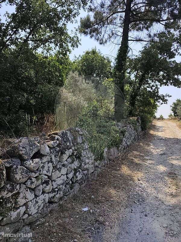 Terreno  para venda - Grande imagem: 5/10
