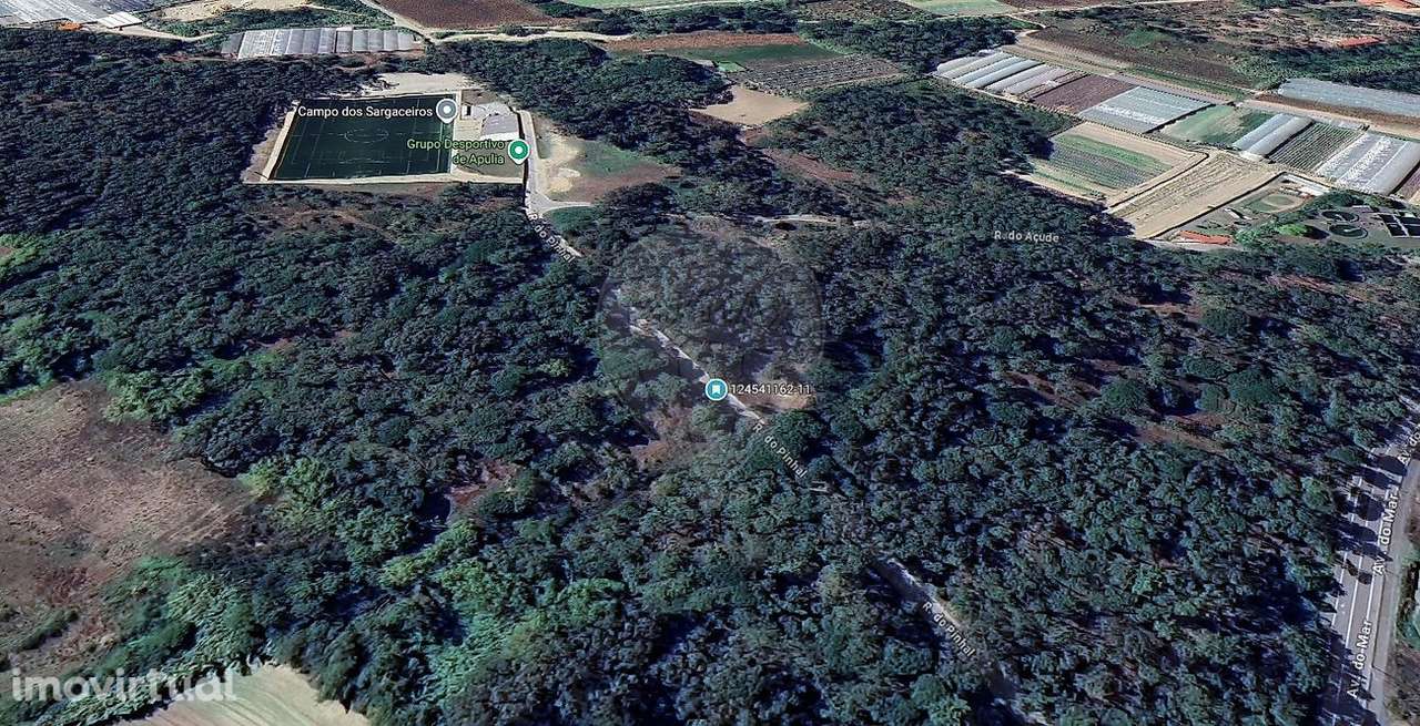 Terreno  para venda - Grande imagem: 3/7