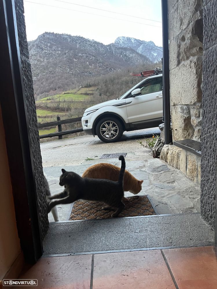 Land Rover Range Rover Evoque 2.2 eD4 Prestige - 2