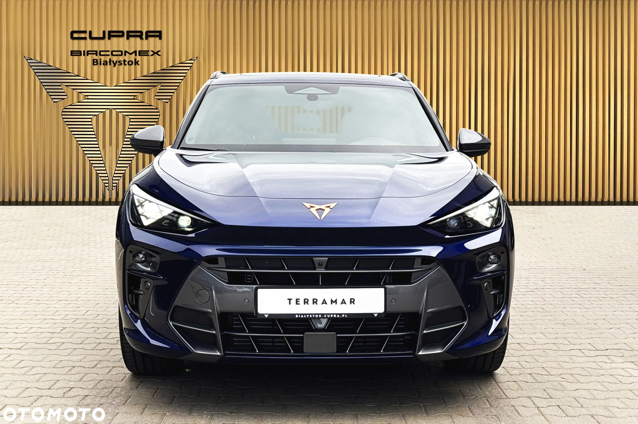 Cupra Terramar 2.0 TSI 4Drive DSG - 9