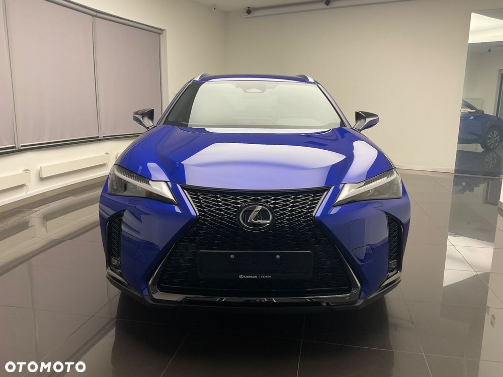 Lexus UX 300h F Sport Design - 16