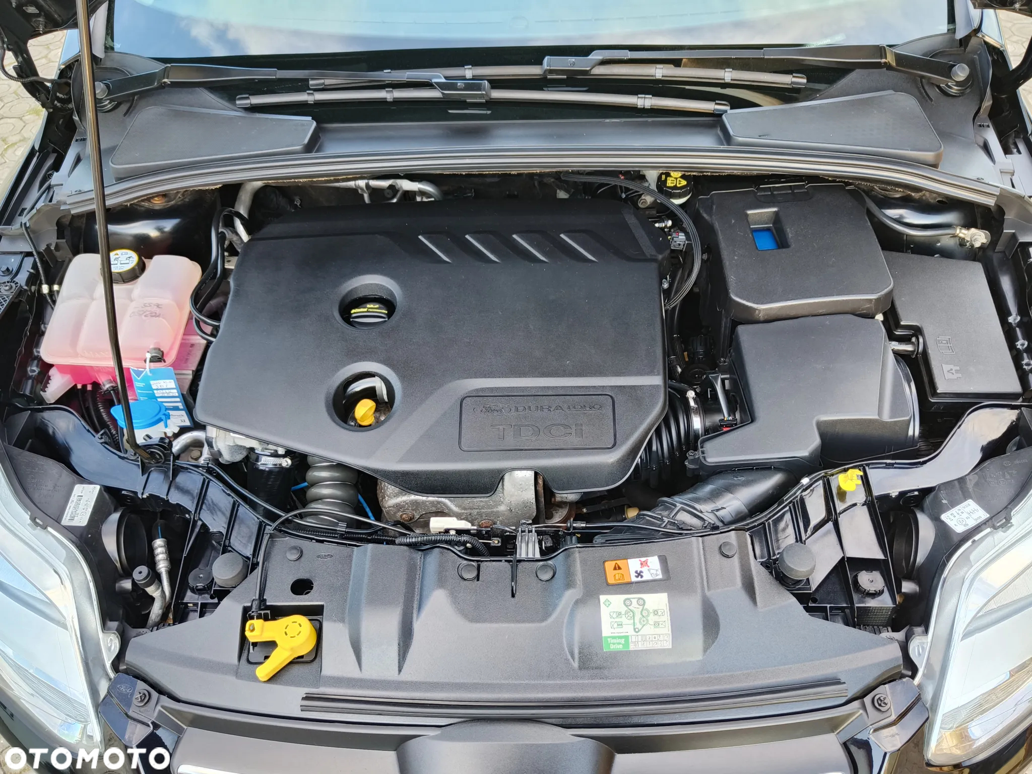 Ford Focus - 34
