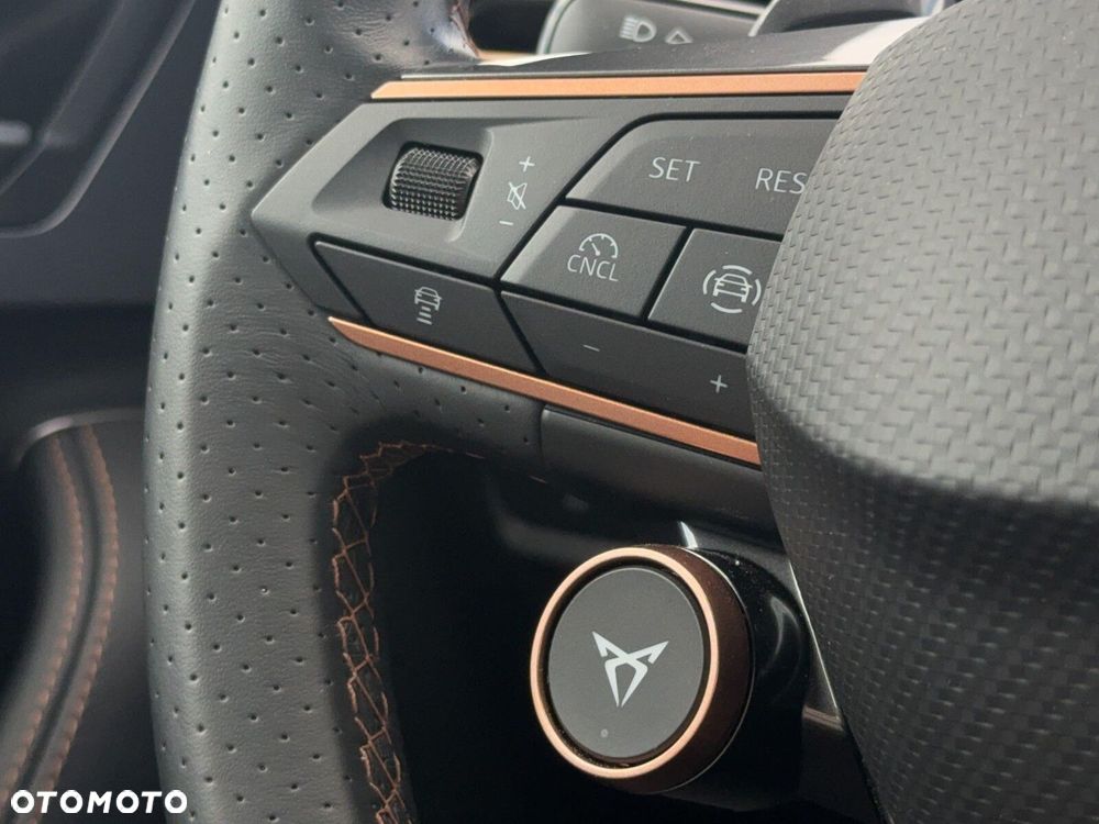 Cupra Formentor - 19