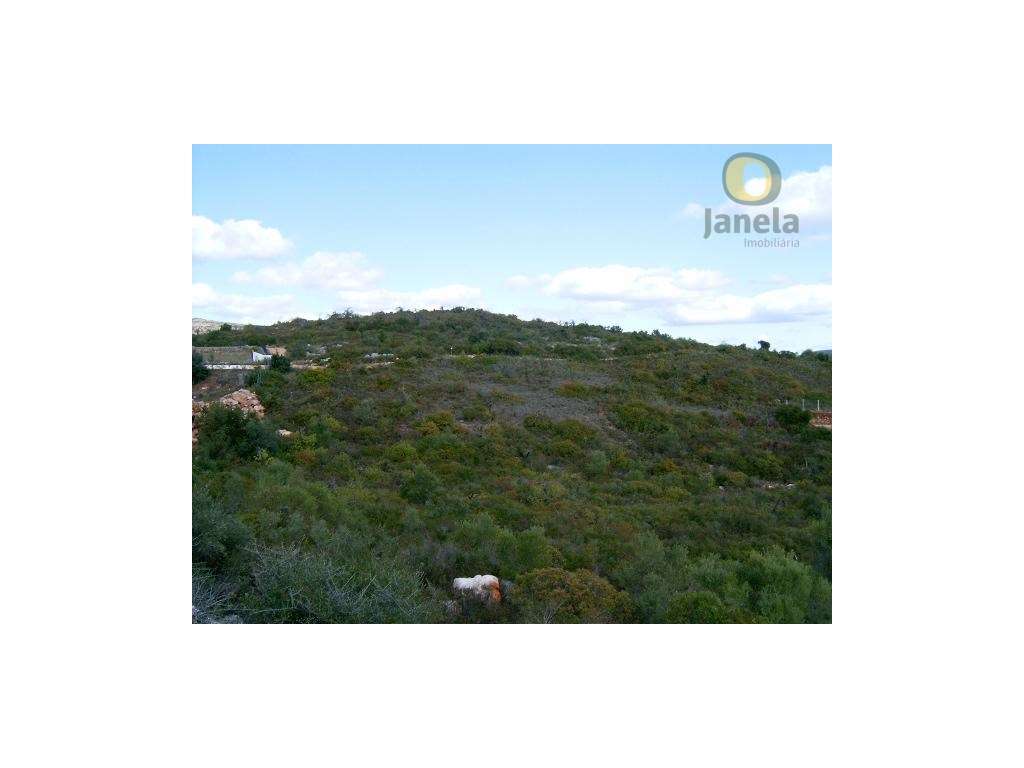 Terreno Rústico com 15680 m2 junto ao Serro de S. Miguel - Grande imagem: 2/3