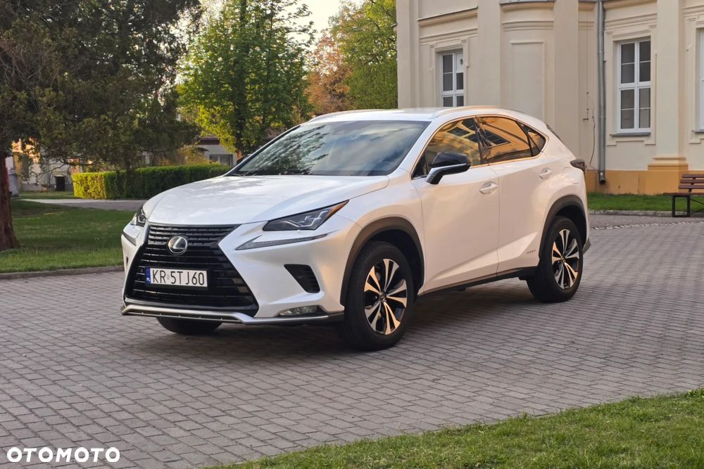 Lexus NX 300h F Impression AWD - 38