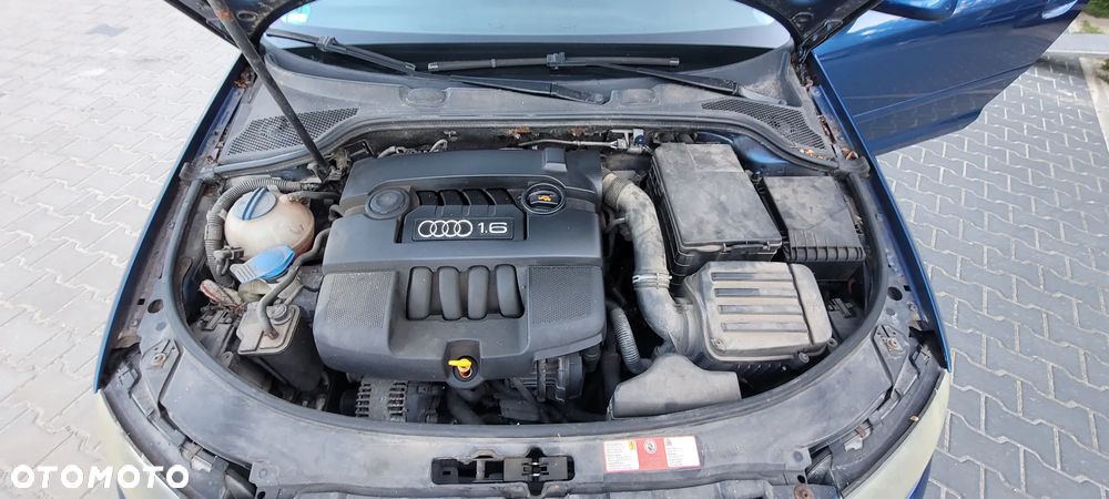 Audi A3 3-drzwiowe - 7