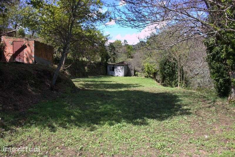 Terreno com casa de pedra - Grande imagem: 4/7