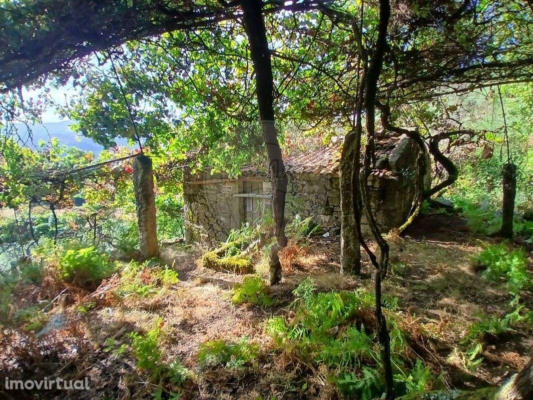 Terreno  para venda - Grande imagem: 2/28