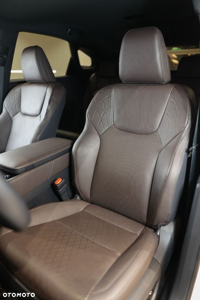 Lexus RX - 10