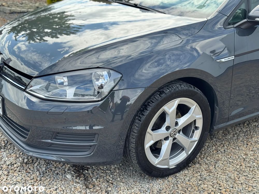 Volkswagen Golf 1.6 TDI 4Motion BlueMotion Technology Allstar - 4