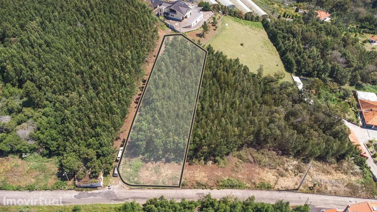 Terreno Rústico com 2650m² na Achada do Moreno, Santa Cruz - Grande imagem: 3/12