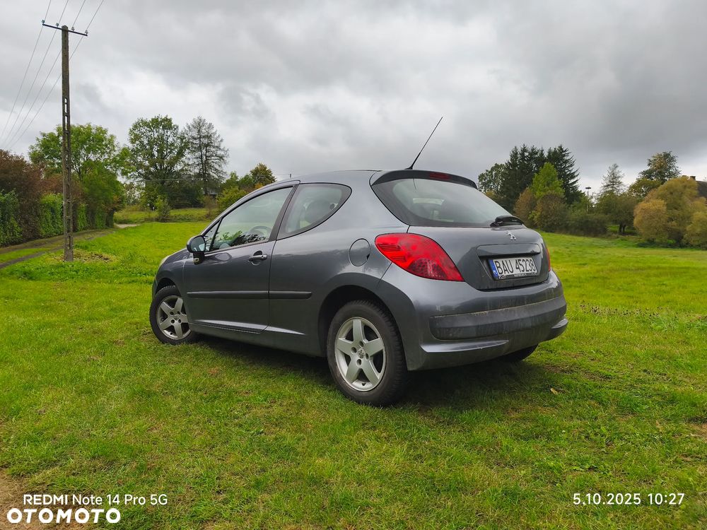Peugeot 207 - 5