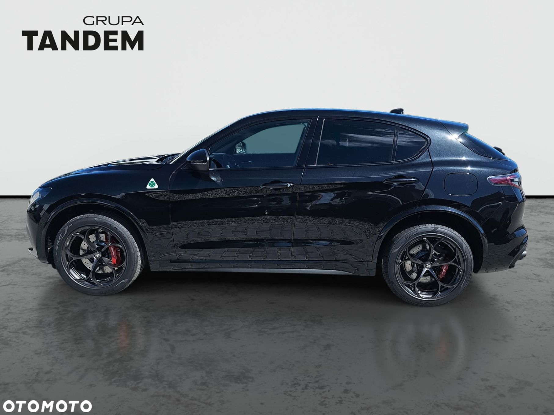 Alfa Romeo Stelvio 2.9 Bi Turbo V6 Quadrifoglio Q4 - 8