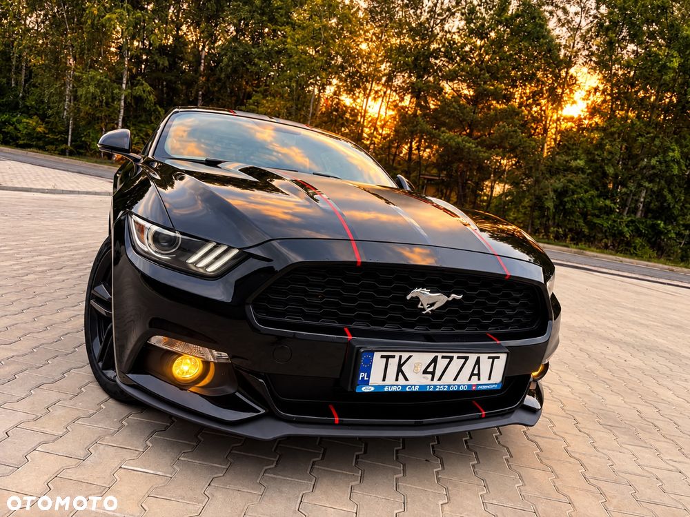 Ford Mustang - 14
